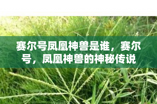 赛尔号凤凰神兽是谁，赛尔号，凤凰神兽的神秘传说