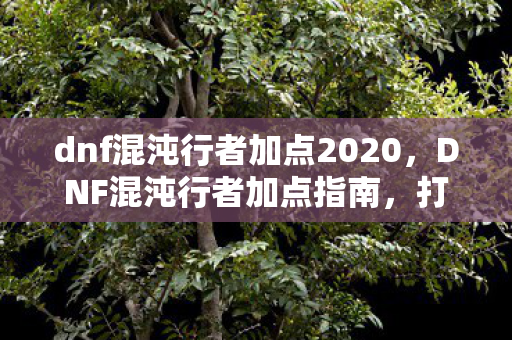 dnf混沌行者加点2020图片