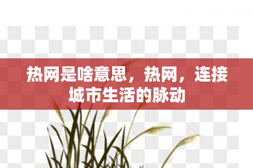热网是啥意思，热网，连接城市生活的脉动