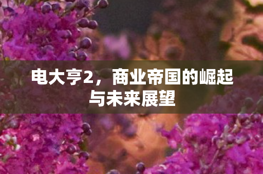 商业帝国的崛起与未来展望图片