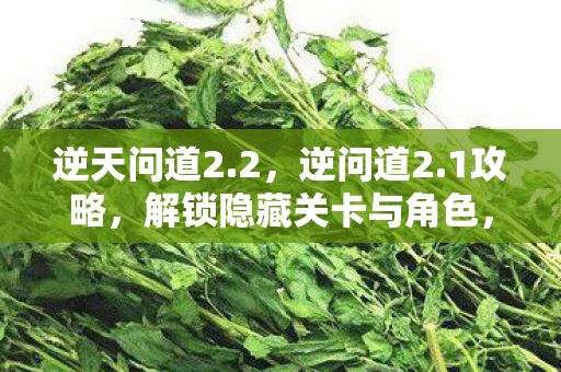 解锁隐藏关卡与角色图片