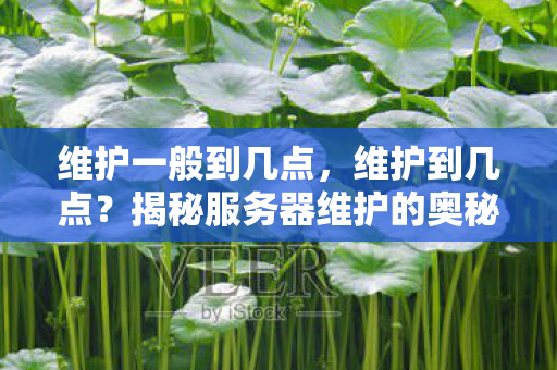 维护一般到几点，维护到几点？揭秘服务器维护的奥秘