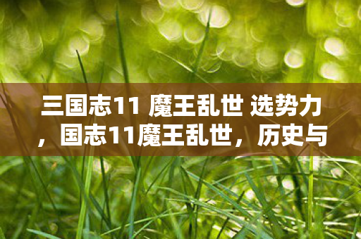 三国志11 魔王乱世 选势力图片