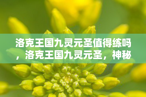 洛克王国九灵元圣值得练吗图片