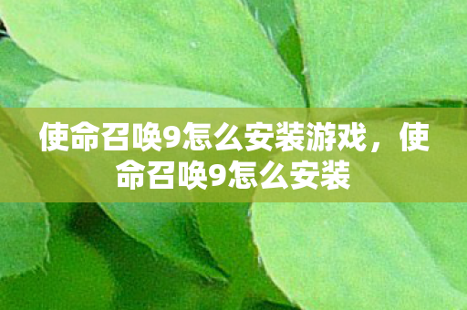 使命召唤9怎么安装游戏图片