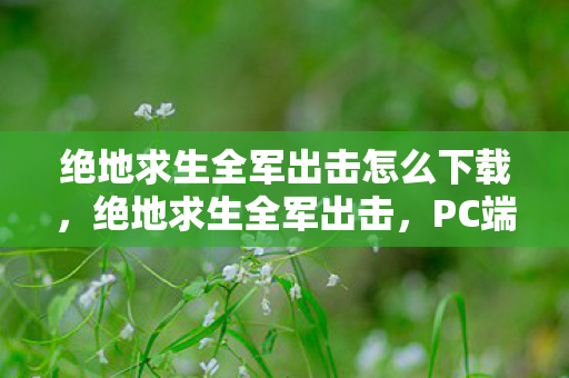 绝地求生全军出击怎么下载图片