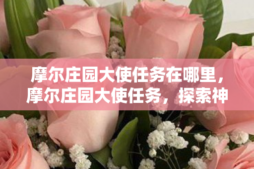 摩尔庄园大使任务在哪里图片