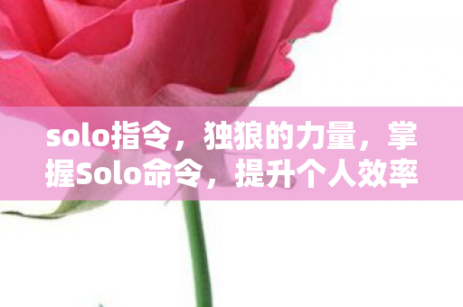 提升个人效率与创造力图片