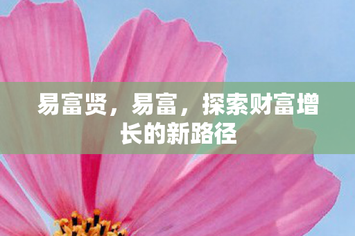 易富贤，易富，探索财富增长的新路径