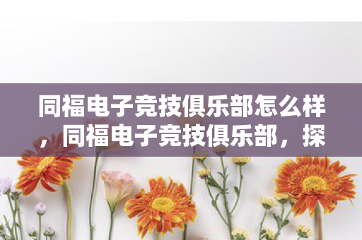 同福电子竞技俱乐部怎么样，同福电子竞技俱乐部，探索电竞之路的传奇故事