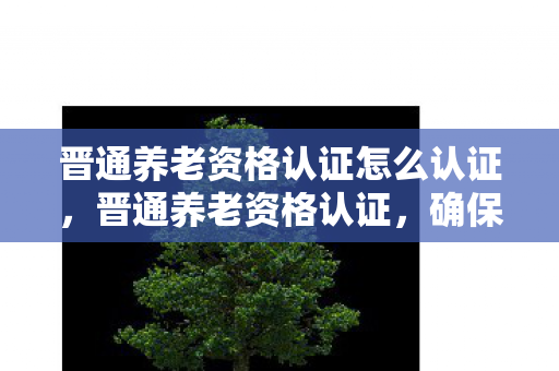 确保养老金发放的精准与公平图片