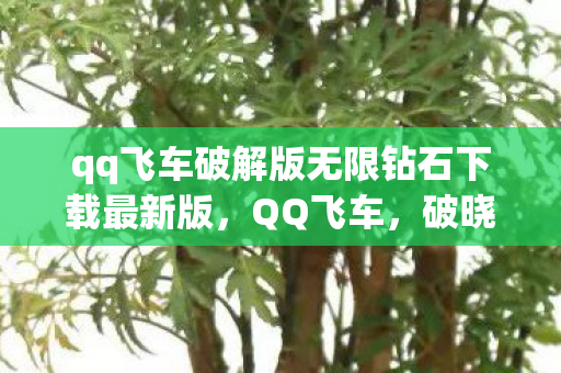 qq飞车破解版无限钻石下载最新版图片