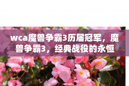 wca魔兽争霸3历届冠军图片