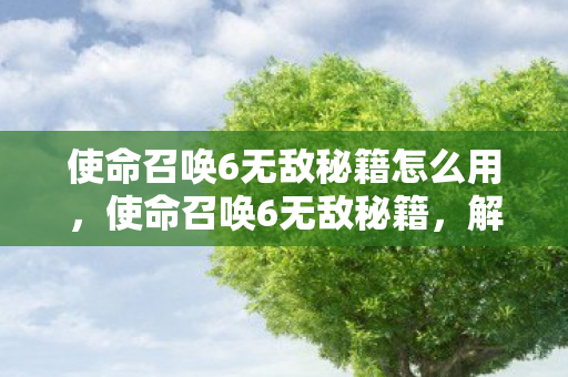 使命召唤6无敌秘籍怎么用图片