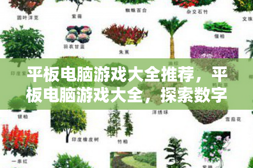 平板电脑游戏大全推荐，平板电脑游戏大全，探索数字娱乐的新世界