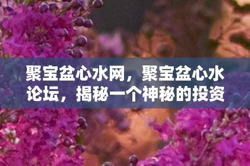 揭秘一个神秘的投资交流平台图片