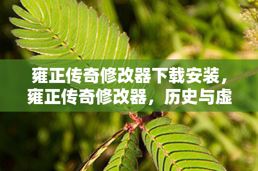 雍正传奇修改器下载安装图片