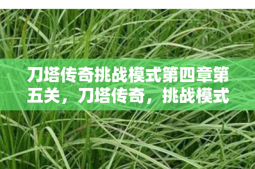 刀塔传奇挑战模式第四章第五关，刀塔传奇，挑战模式深度解析与攻略