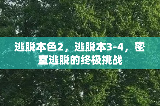 逃脱本色2，逃脱本3-4，密室逃脱的终极挑战