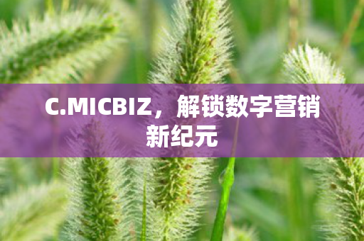 C.MICBIZ，解锁数字营销新纪元