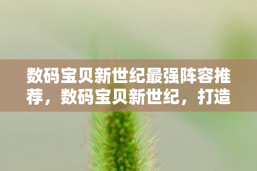 数码宝贝新世纪最强阵容推荐，数码宝贝新世纪，打造最强阵容的终极指南