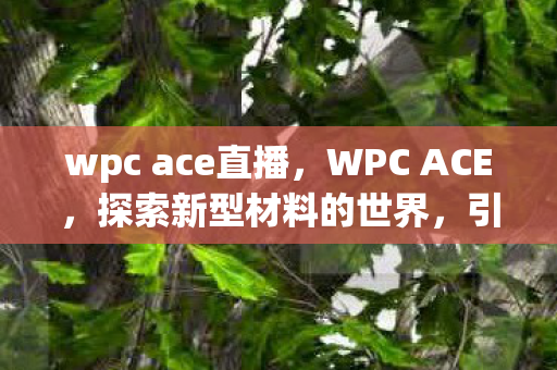 wpc ace直播，WPC ACE，探索新型材料的世界，引领未来家居行业的新潮流