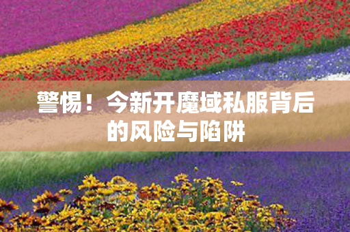 警惕！今新开魔域私服背后的风险与陷阱