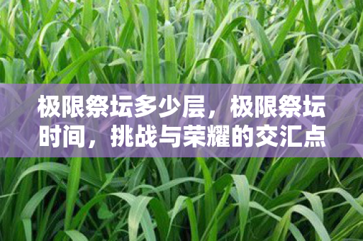 极限祭坛多少层，极限祭坛时间，挑战与荣耀的交汇点