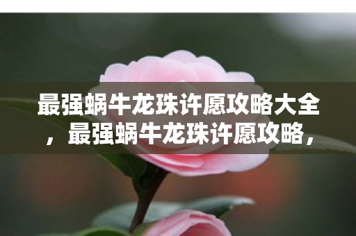 最强蜗牛龙珠许愿攻略大全图片