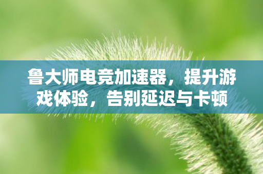 鲁大师电竞加速器图片