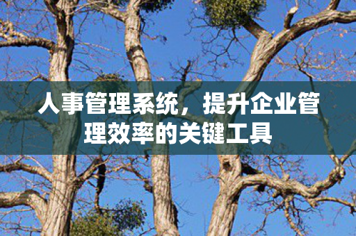 提升企业管理效率的关键工具图片