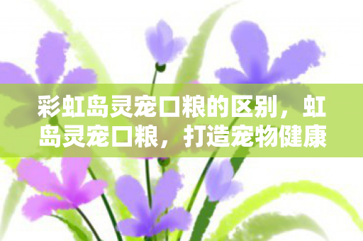 打造宠物健康生活的秘密武器图片