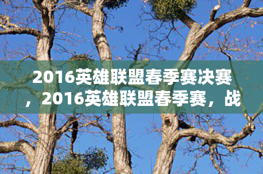 2016英雄联盟春季赛决赛图片