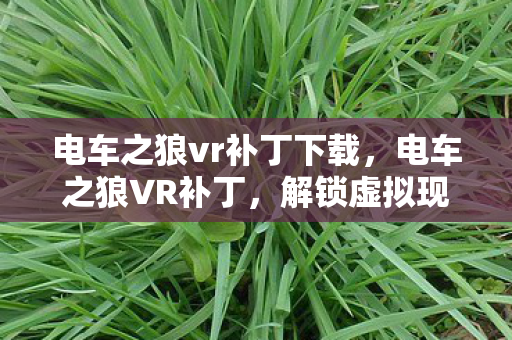 解锁虚拟现实的全新体验图片