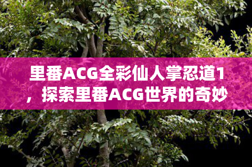 探索里番ACG世界的奇妙之旅图片