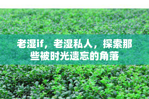 探索那些被时光遗忘的角落图片