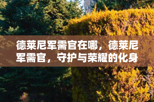 德莱尼军需官在哪图片