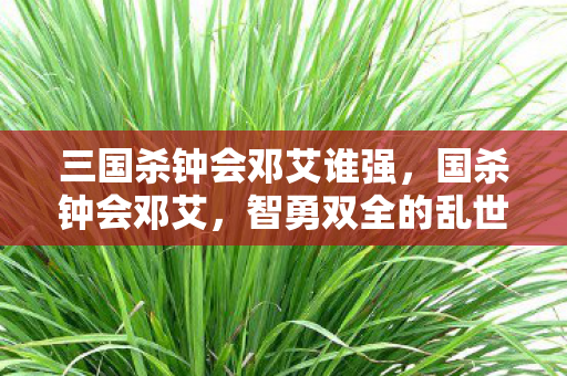 三国杀钟会邓艾谁强图片