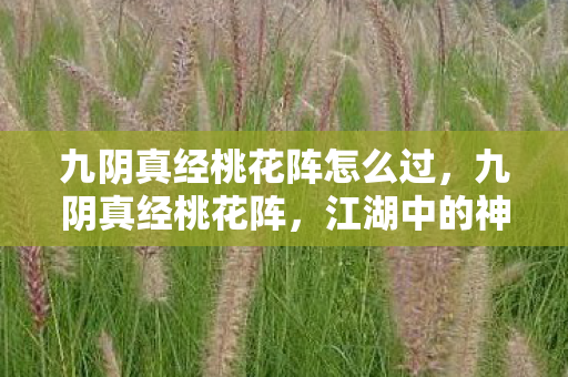 九阴真经桃花阵怎么过图片