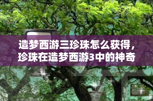 珍珠在造梦西游3中的神奇作用图片