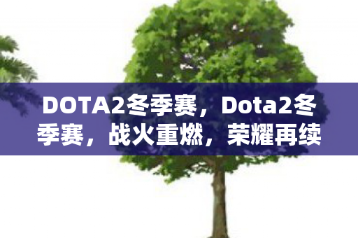DOTA2冬季赛图片