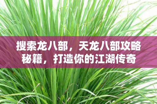 天龙八部攻略秘籍图片