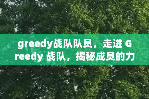 greedy战队队员，走进 Greedy 战队，揭秘成员的力量与荣耀