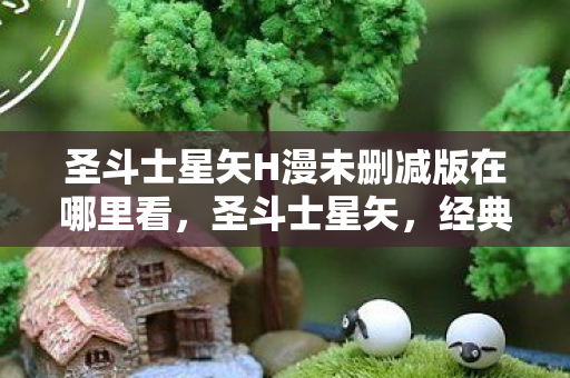 圣斗士星矢H漫未删减版在哪里看图片