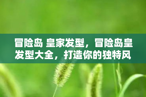 冒险岛 皇家发型图片