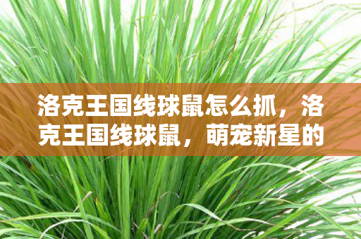 洛克王国线球鼠怎么抓图片