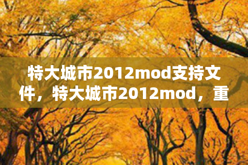 特大城市2012mod支持文件图片