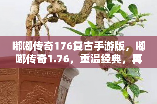嘟嘟传奇176复古手游版图片
