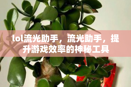 提升游戏效率的神秘工具图片