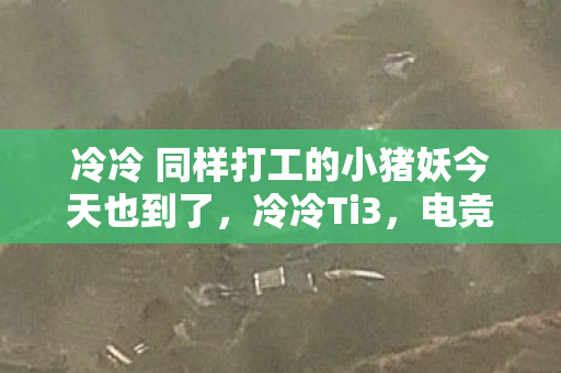 冷冷 同样打工的小猪妖今天也到了，冷冷Ti3，电竞背后的故事与挑战